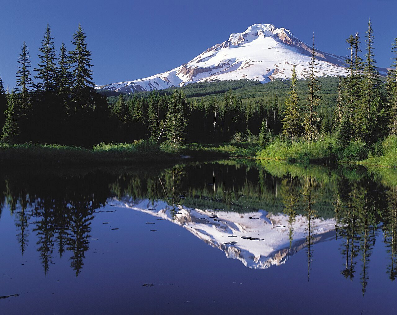 Cascades