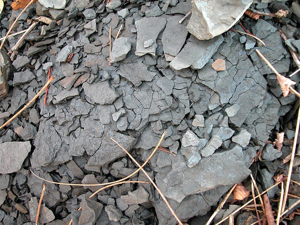 Shale