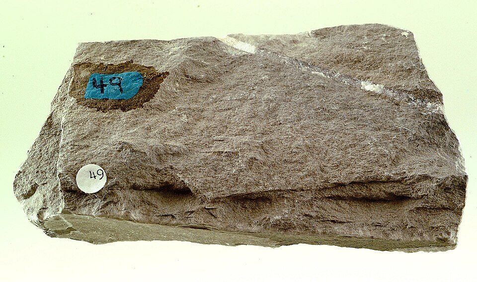 Siltstone